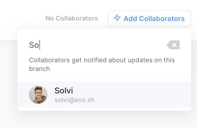 Adding a branch collaborator